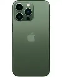 iPhone 13 Pro Max (6.7)